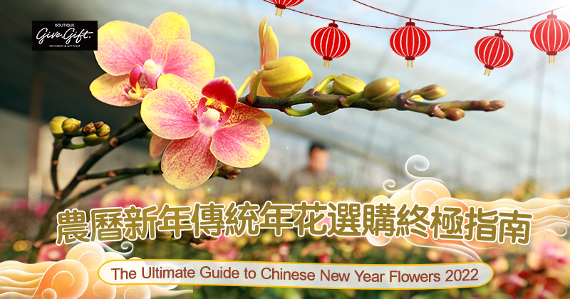 Guide to Purchase Lucky Flowers for the Lunar New Year